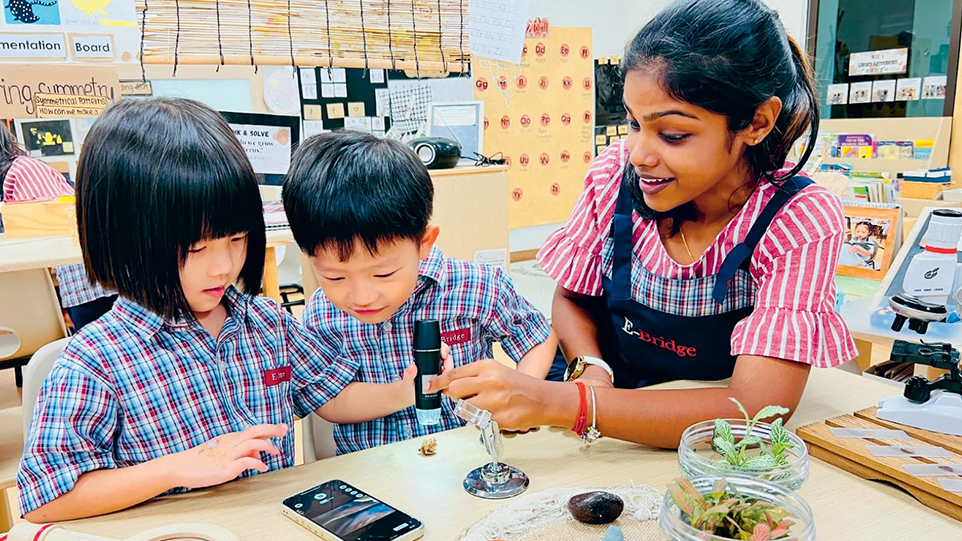 Natural objects are a valuable teaching resource to extend children�s exploration.