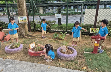 ECDA Awards Innovation MOE Kindergarten