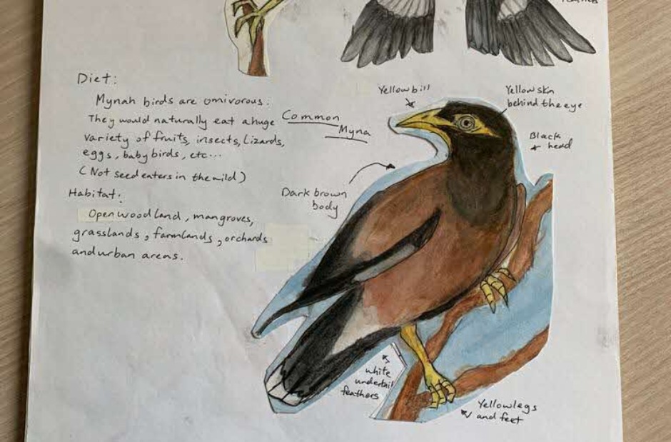 A world worth observing_This Geography teacher nurtures future environmentalists with nature trips Pic 4