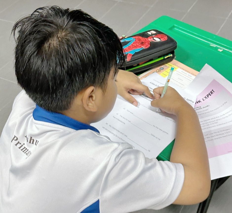 How children with dyslexia are conquering the written world in school pic 5