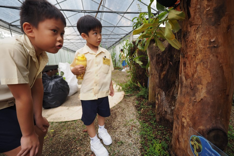 p1030434_31954795141_o