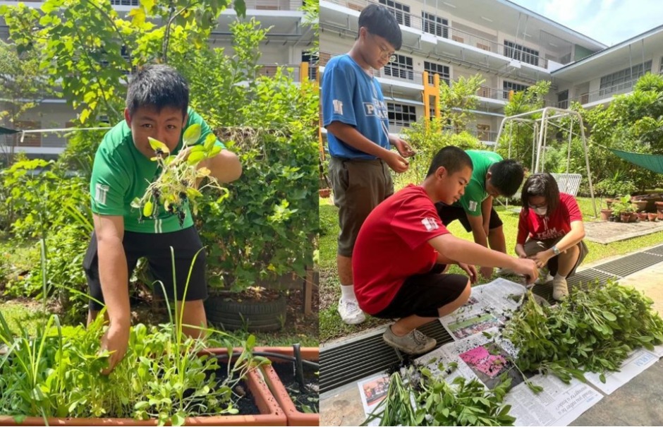 In this school’s green sanctuary, a sense of community blooms pic 8