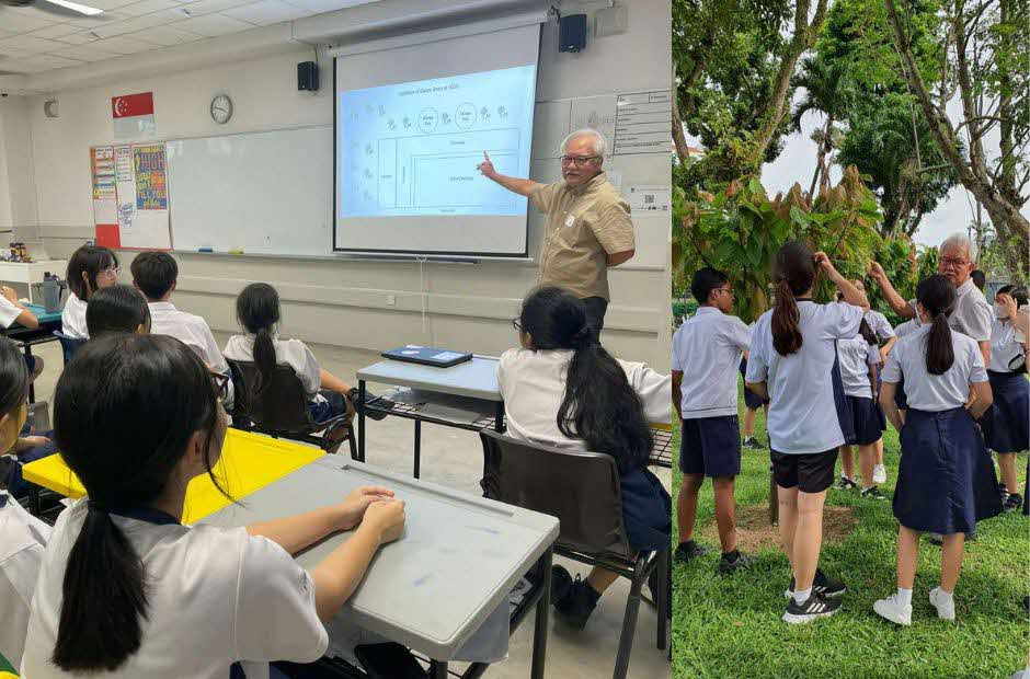 Serangoon Garden Secondary School Cocoa Trees (5)
