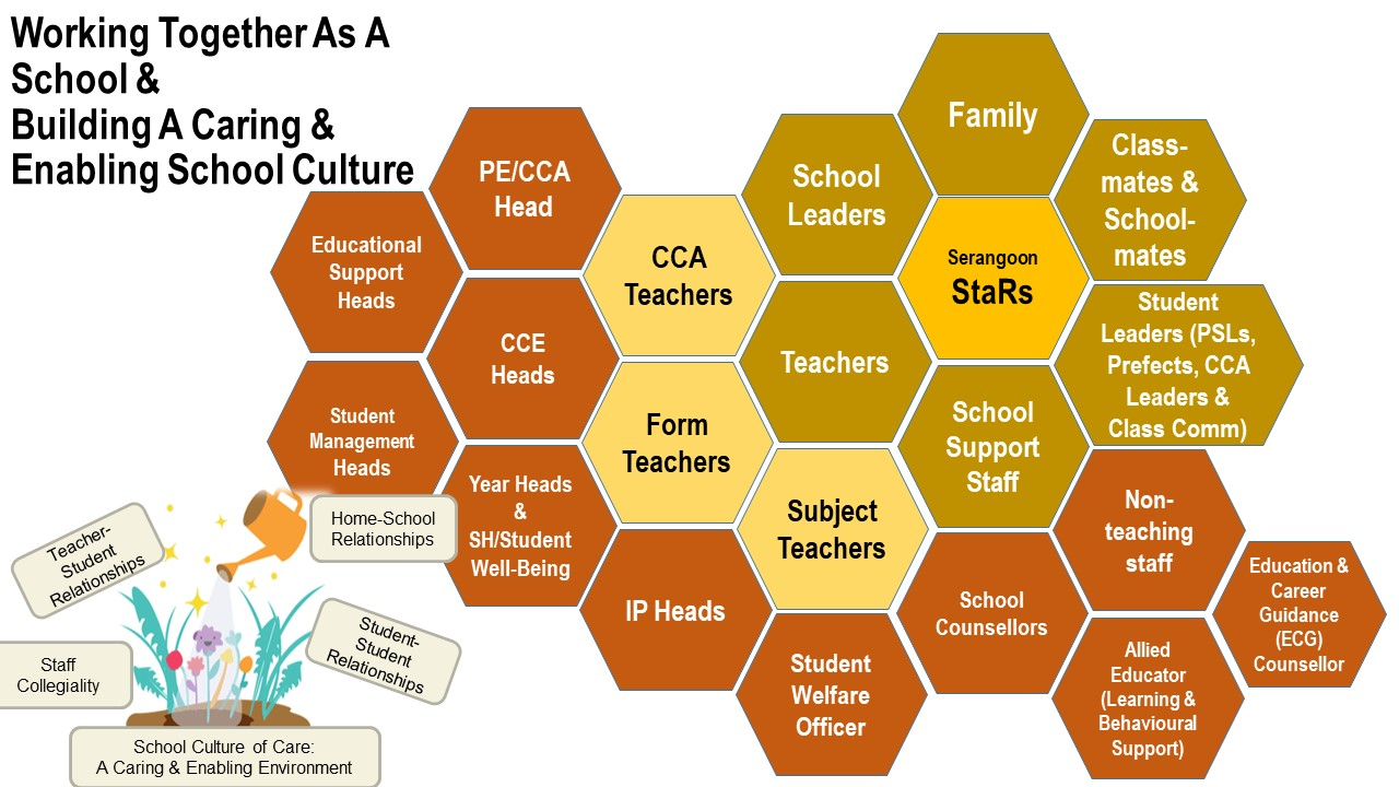 SRSS Structure of support