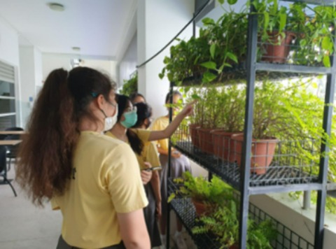 Peirce Secondary Edible Landscapes 2