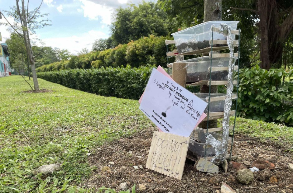 Peirce Secondary Edible Landscapes 1