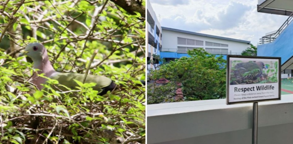 the way of water 10.JPG