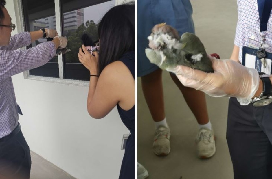 the way of water 12.JPG