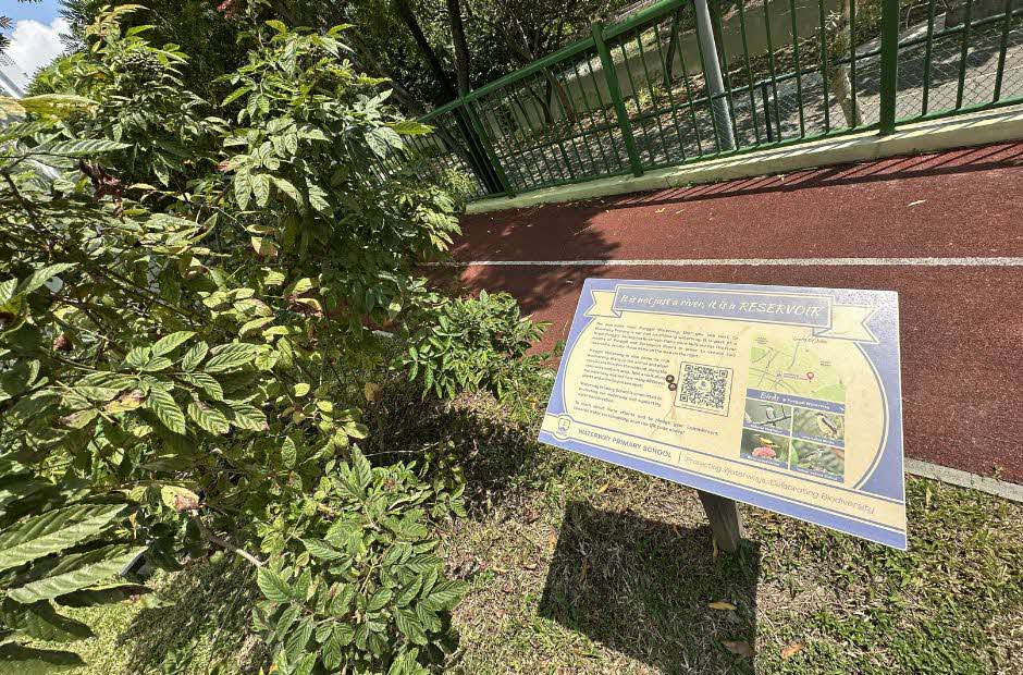 Schoolbag Waterway Biodiversity Panel