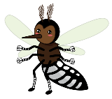 Project Wolbachia Mosquito