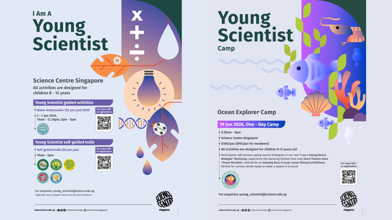 Ysb June Prog