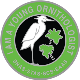 I Am a Young Ornithologist