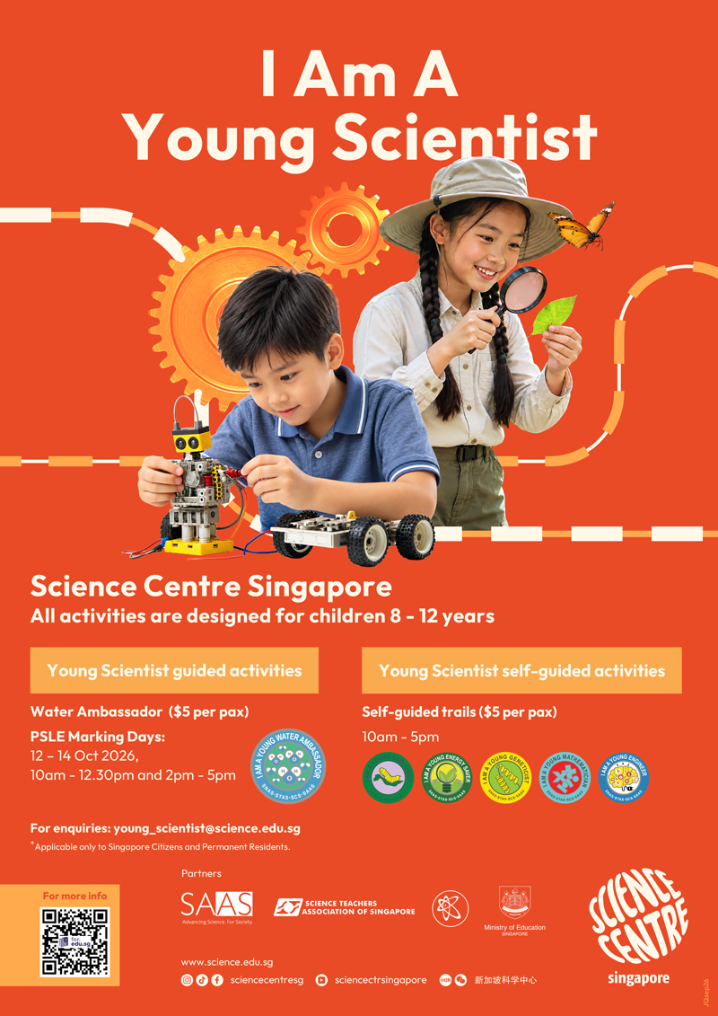 Ysb Psle Marking Day Activities