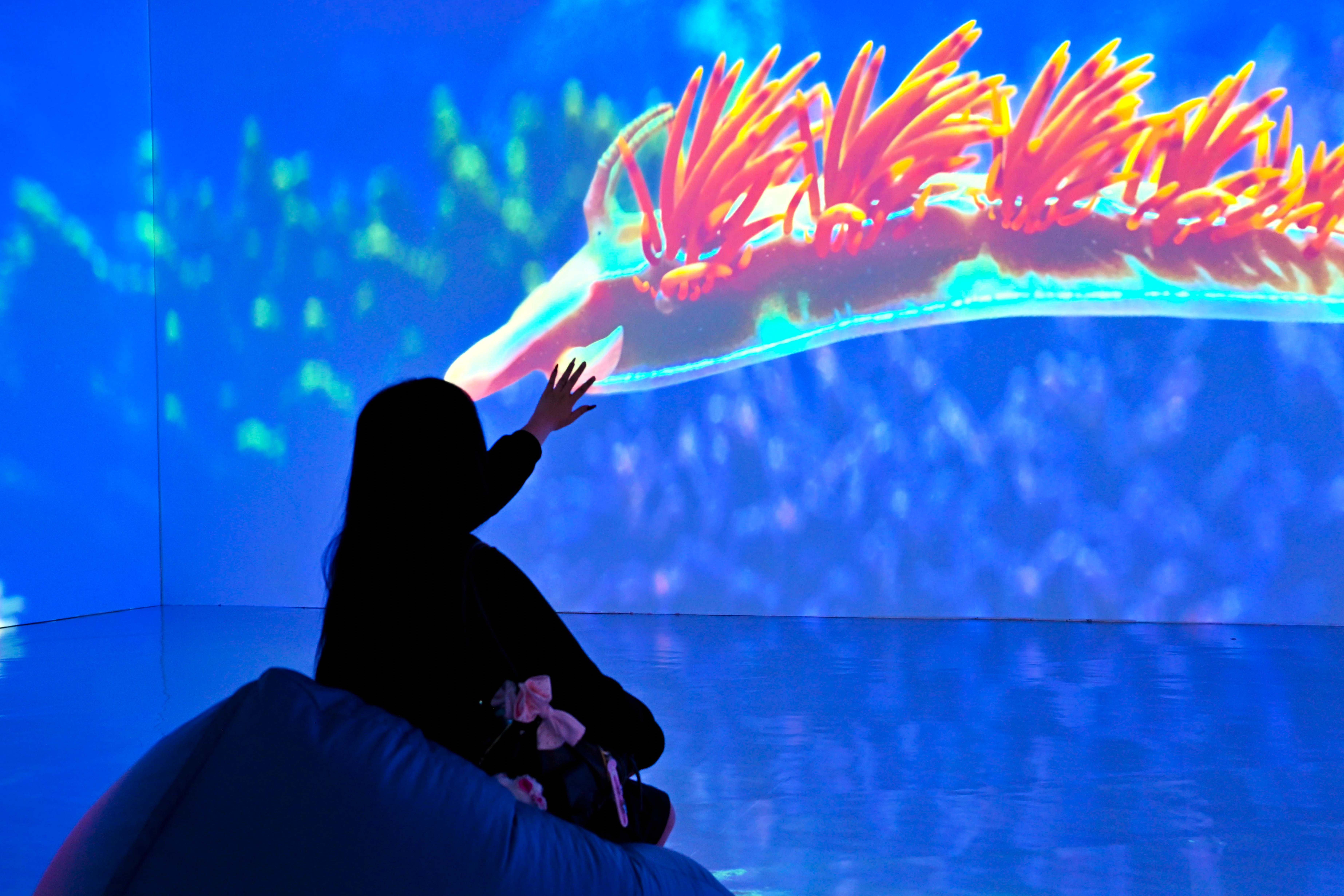 ONE Ocean: 7 Wonders of the Ocean