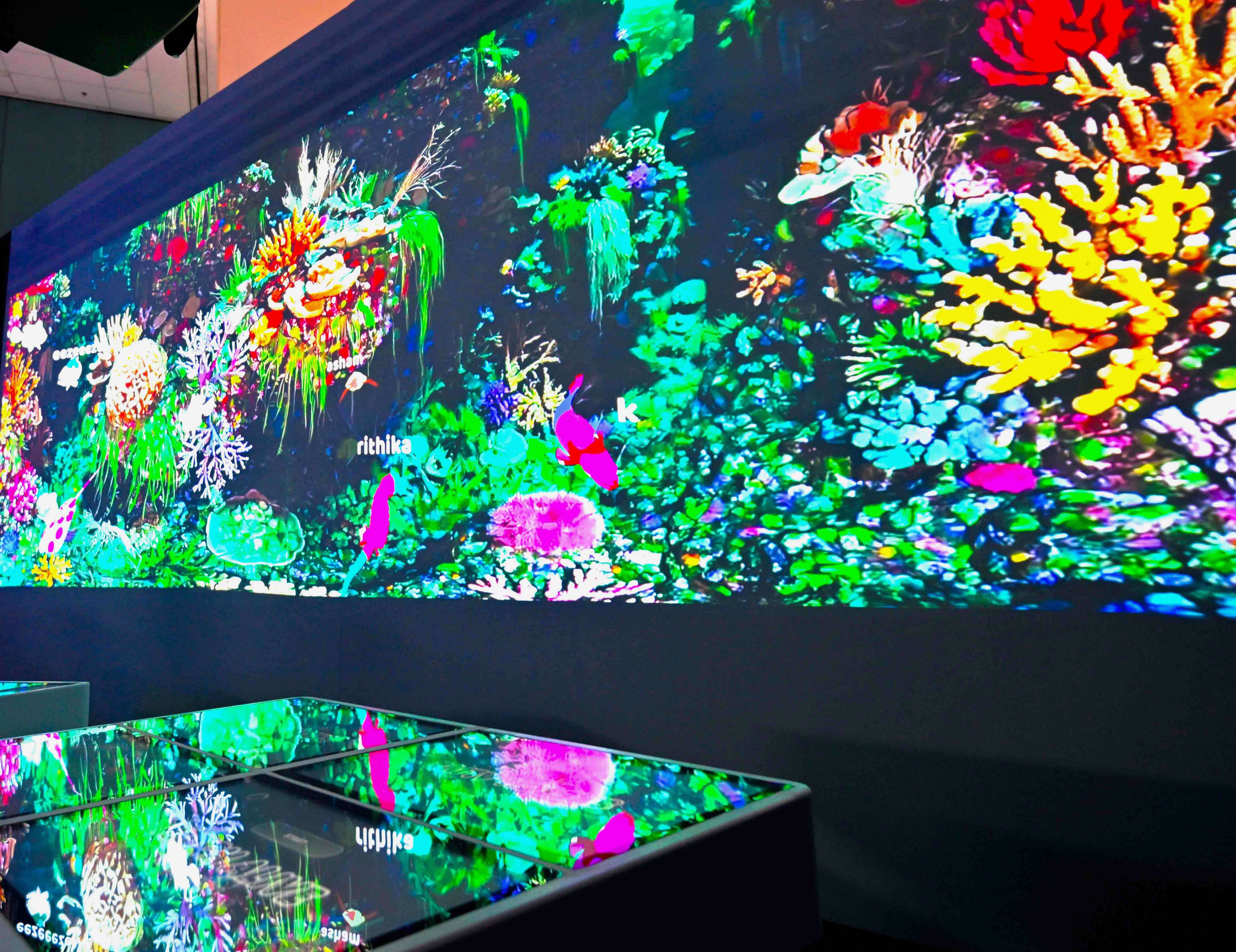 ONE Ocean: Colouring Station