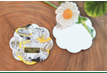 Mirror Coaster
