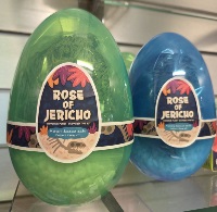 Jericho Dinosaur Plant Kit