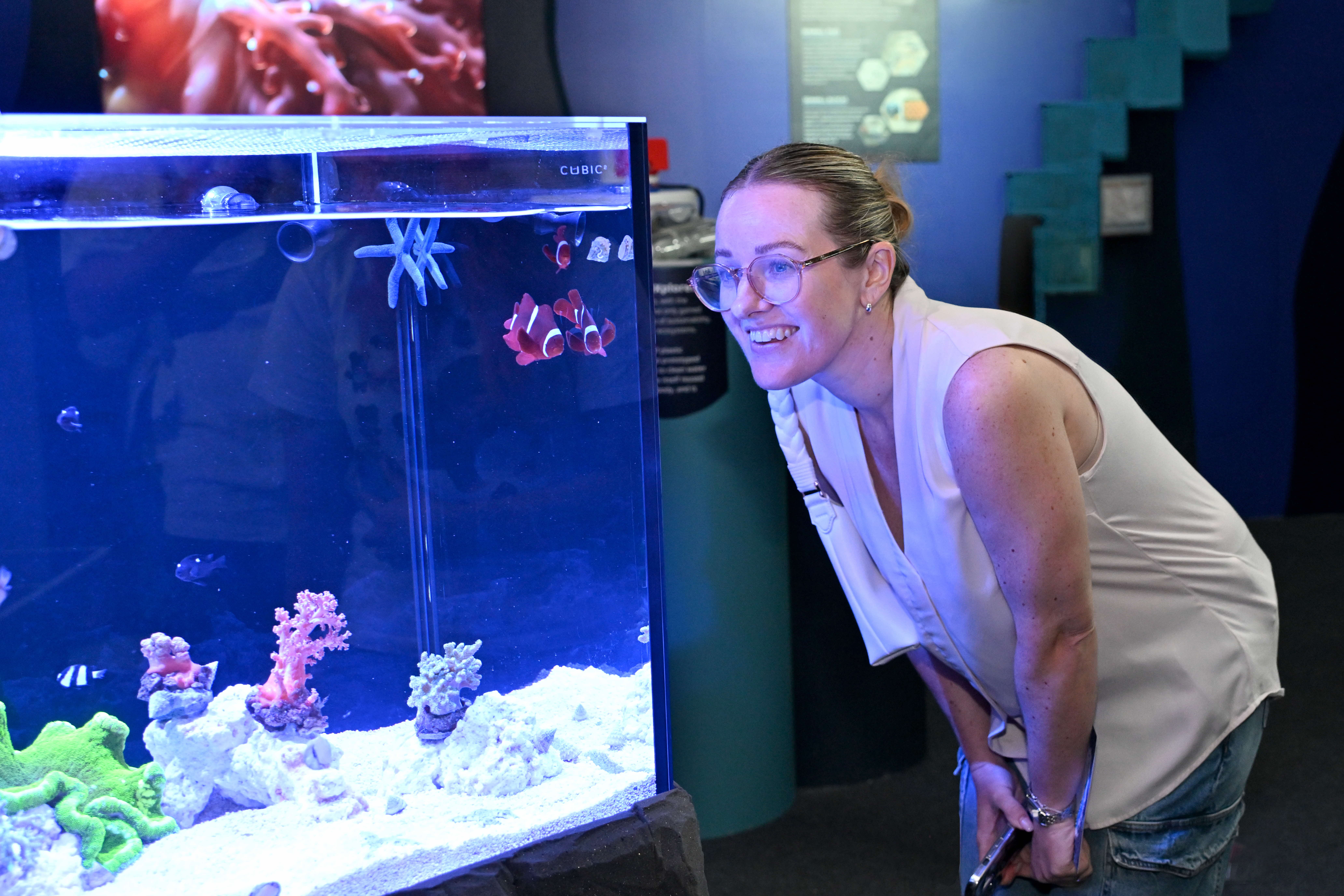 Oo Corals