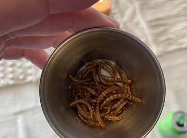 Insect1