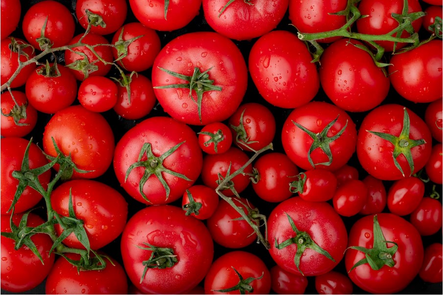 Tomato Tomatoes