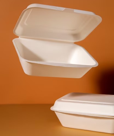 Styrofoam Styrofoam