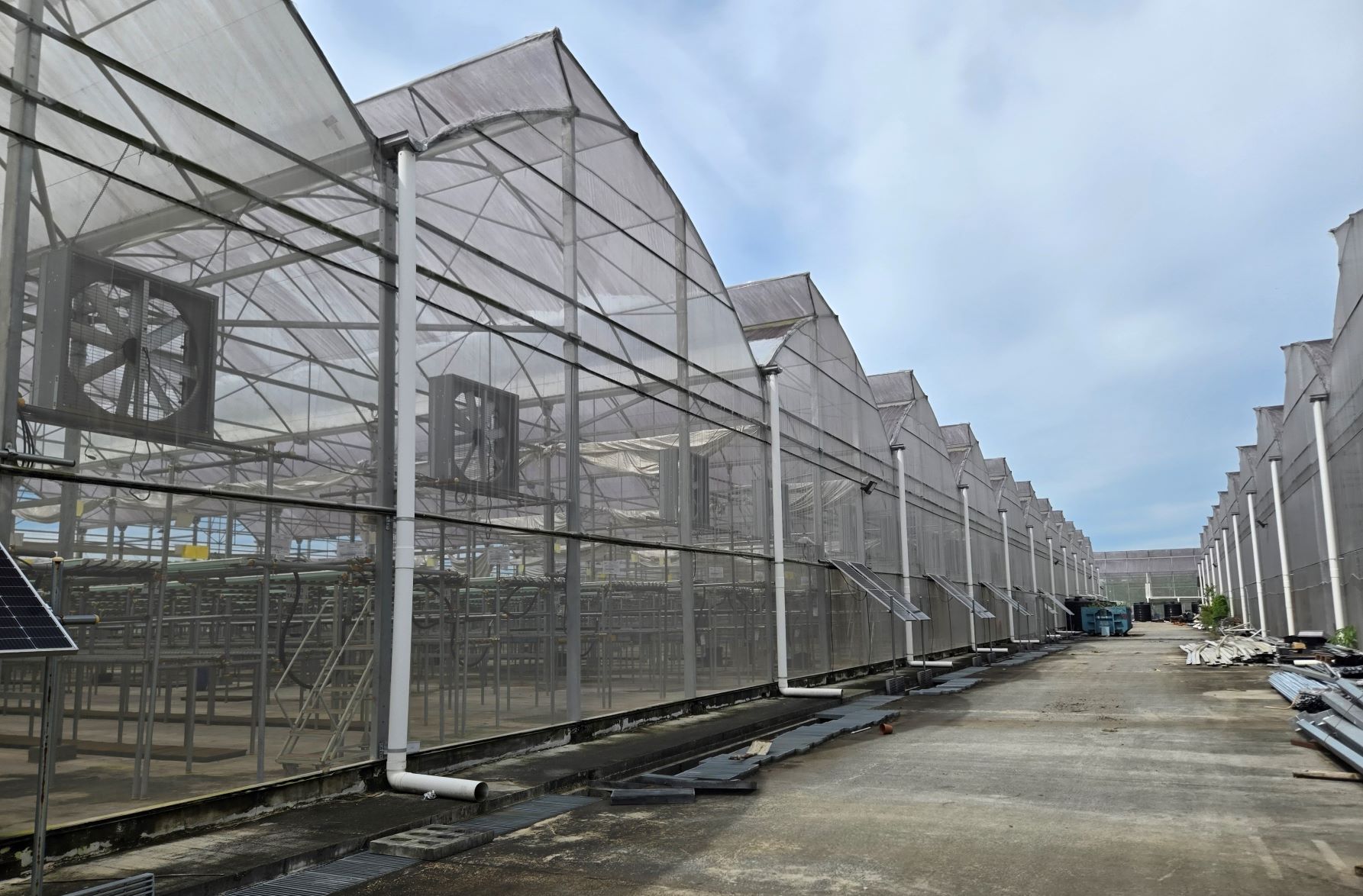 Bestpracticenewsletter Hydroculture Dec2024 Image Bestpracticenewsletter Hydroculture Dec2024 Image