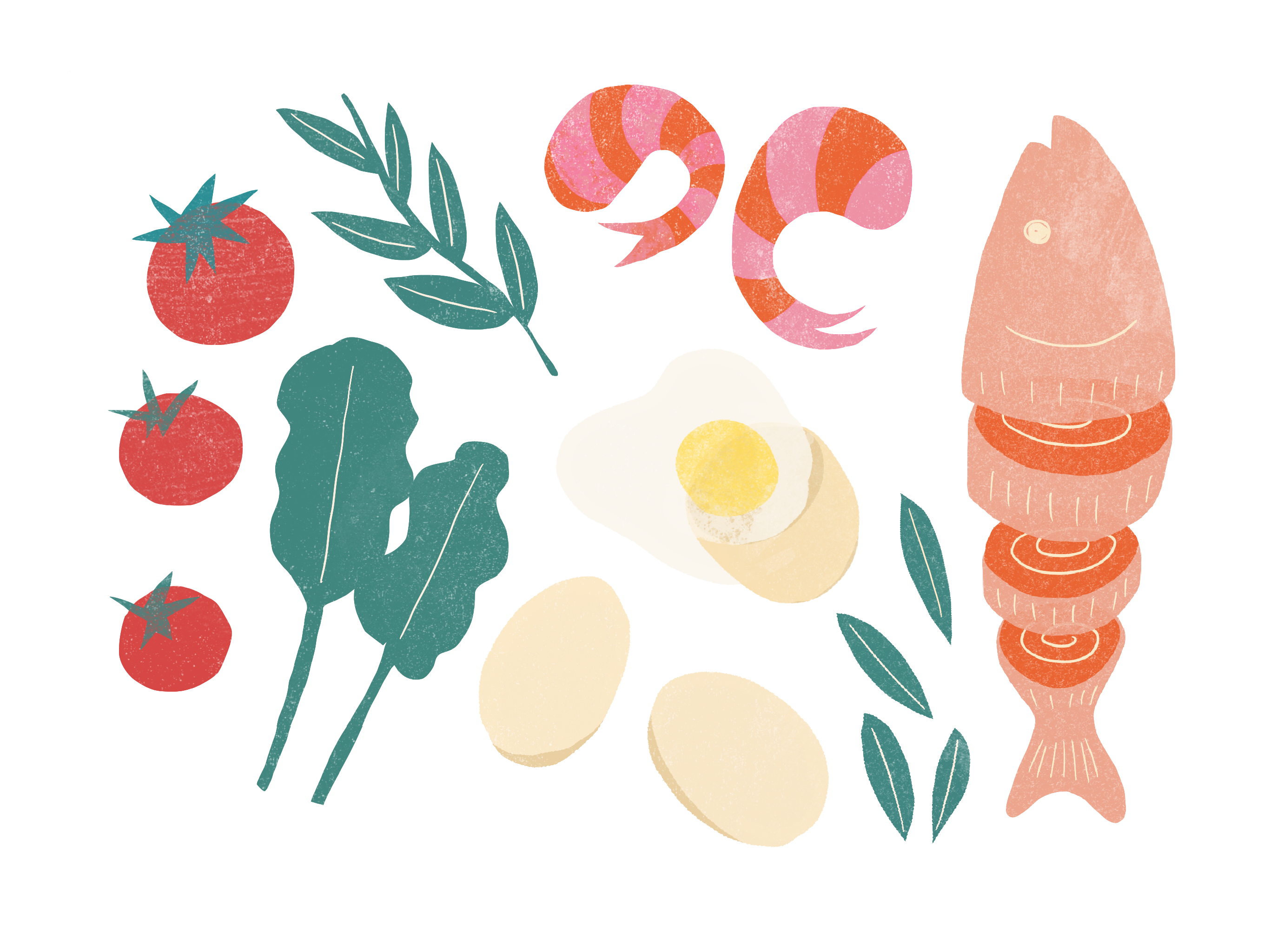 02 Illustration 02 Illustration