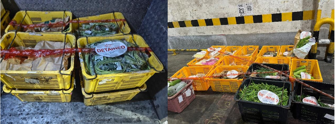 Illegal Imports Illegal Imports